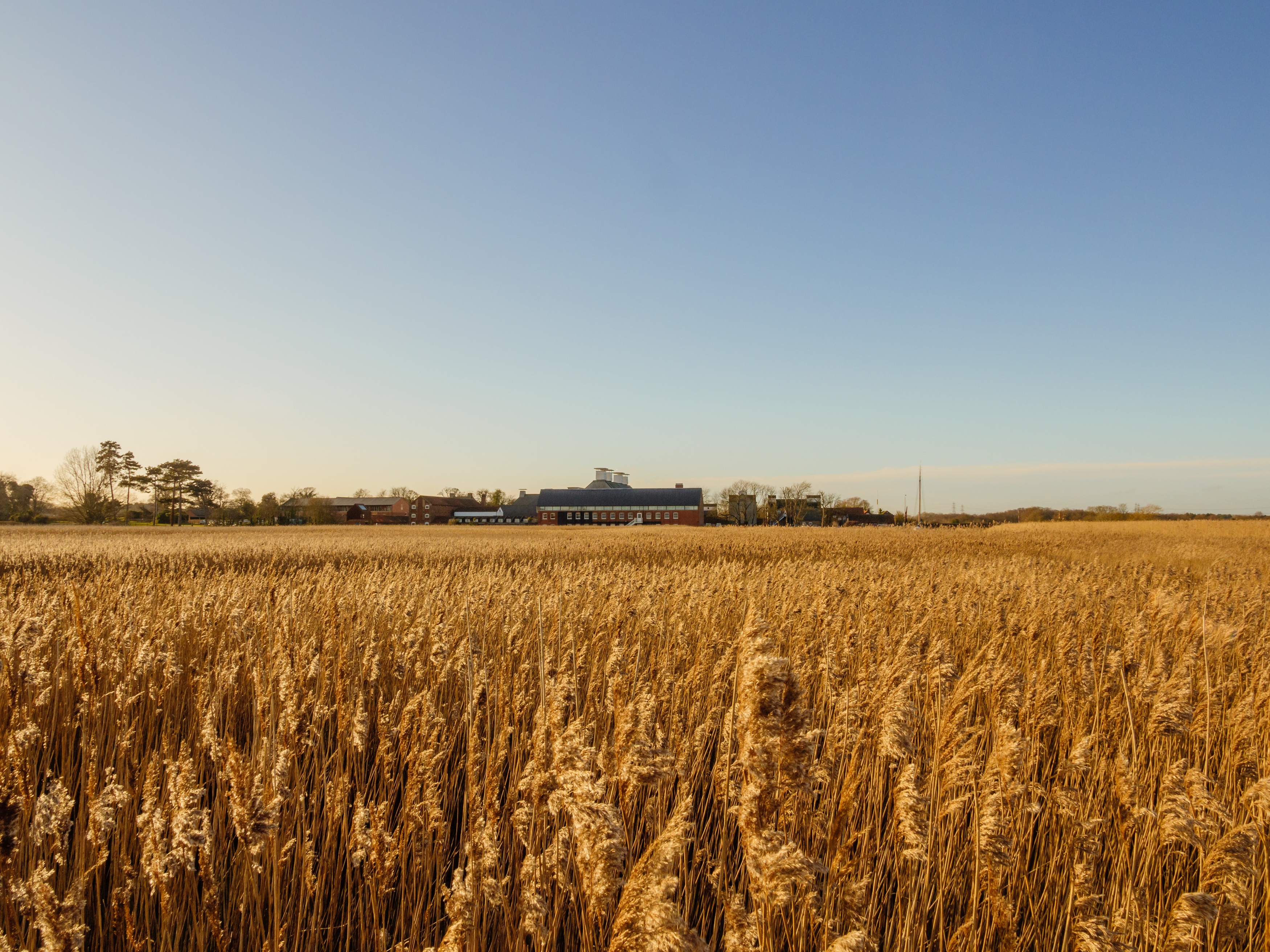 Britten Pears Arts - Snape Maltings